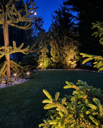 Garden and tree landscape lighting at night