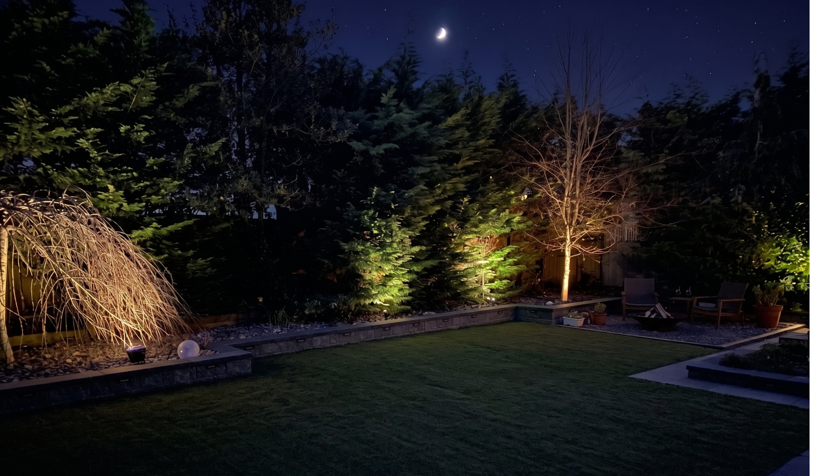 Tree lights only