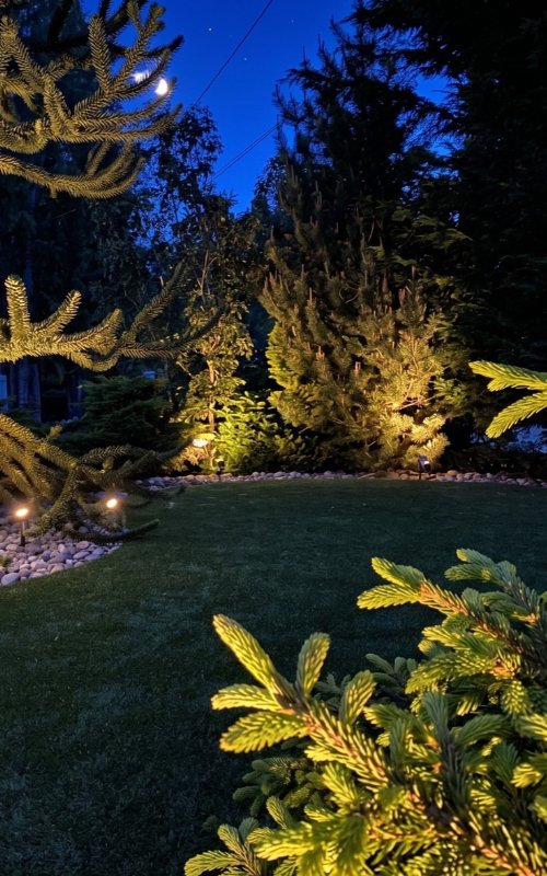 Garden landscape lighting at night